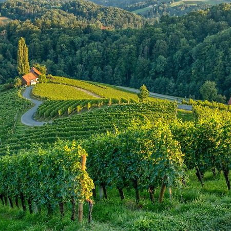 Turisticna Kmetija Dreisiebner Villa Spicnik Luaran gambar