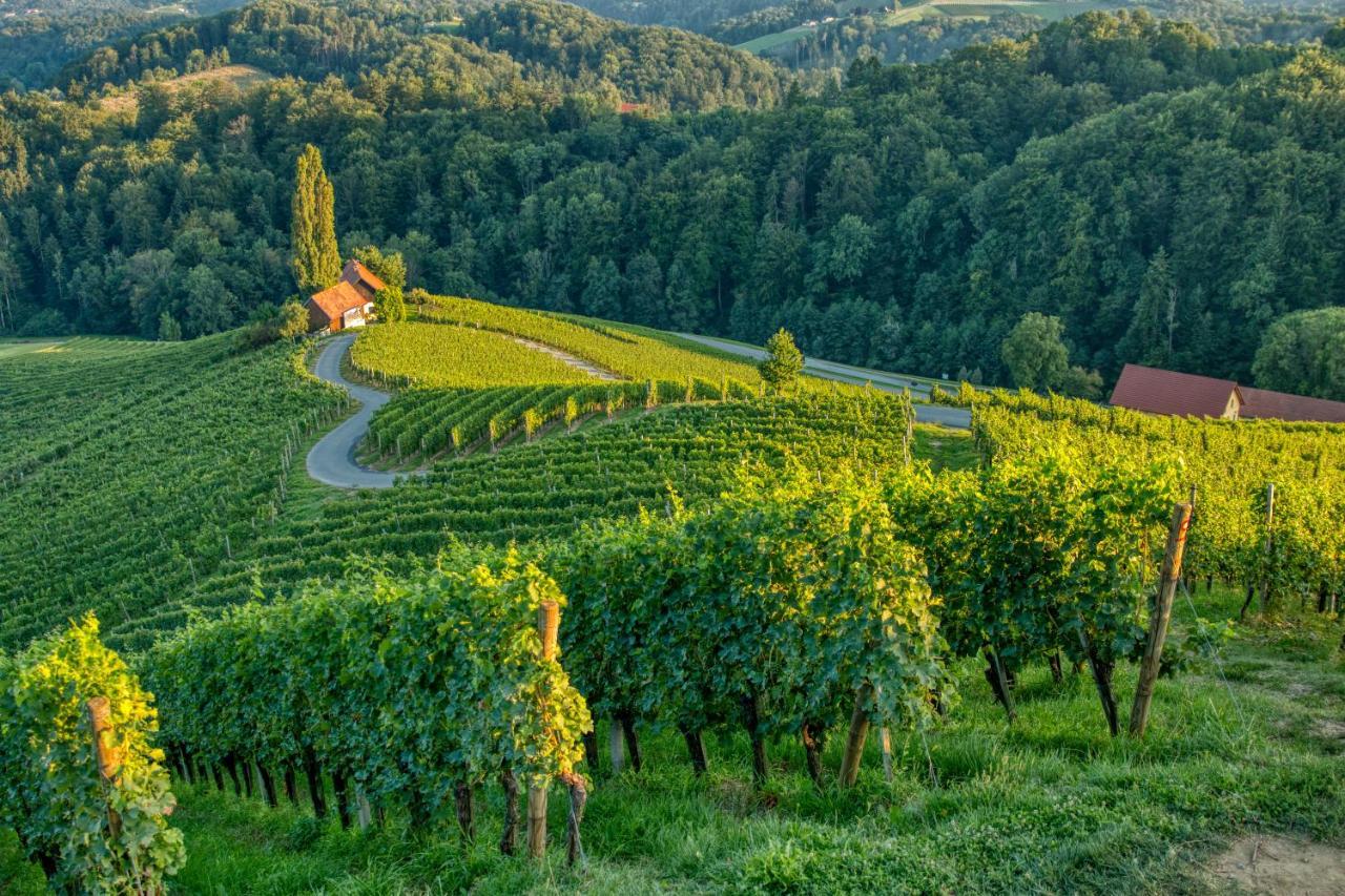 Turisticna Kmetija Dreisiebner Villa Spicnik Luaran gambar